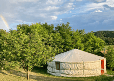 Fehér jurta az Ezerdomb Pihenőház kertjében, zöld fák között, háttérben szivárvánnyal a nyári ég alatt.